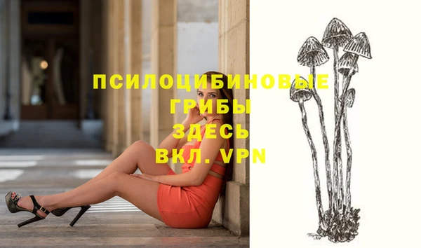 ГАЛЛЮЦИНОГЕННЫЕ ГРИБЫ Алексеевка