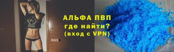 индика Баксан