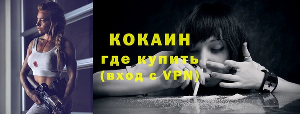 Альфа ПВП Аркадак